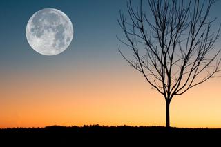 Pełnia księżyca październik 2022. Kiedy wypada Pełnia Myśliwych?