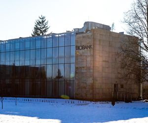 Biobank: drugie życie tysiąclatki w służbie zdrowiu