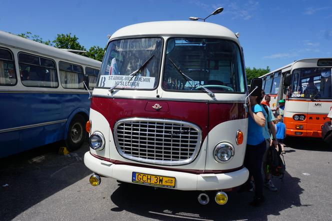 Zlot zabytkowych autobusów 2022 w Bydgoszczy [ZDJĘCIA] 