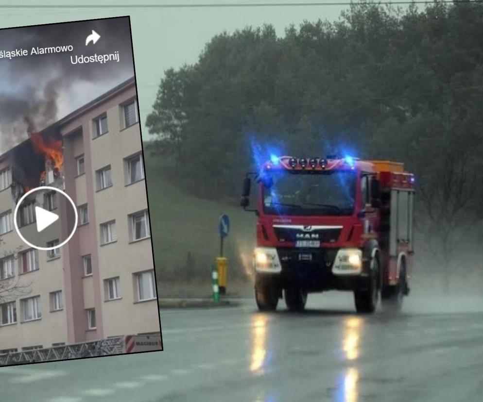 Potężny wybuch gazu w Bielawie na Dolnym Śląsku. 81-latek trafił do szpitala 