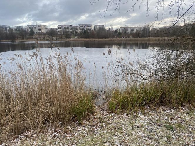 Zima zaatakowała na Warmii i Mazurach. W weekend kolejne opady śniegu!
