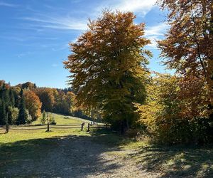 Małopolskie pasmo górskie zachwyca jesiennym pięknem. Ukryta perełka z widokiem na tatry 