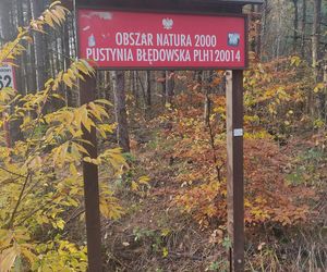 AI wskazała miejsce w Małopolsce, które wygląda najpiękniej jesienią. Wybór jest zaskakujący