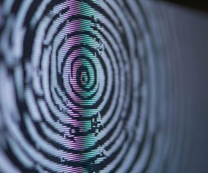 Wyciek danych osobowych. Czy twoje dane trafiły w ręce cyberprzestępców?