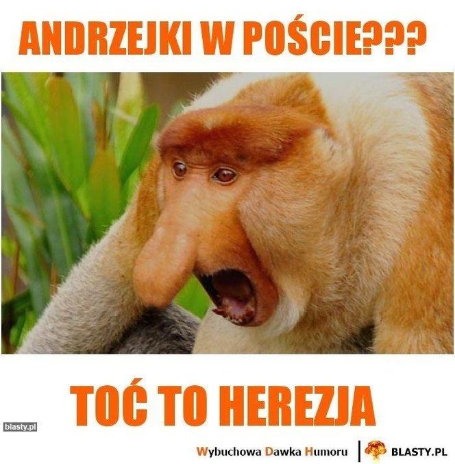 Andrzejki memy