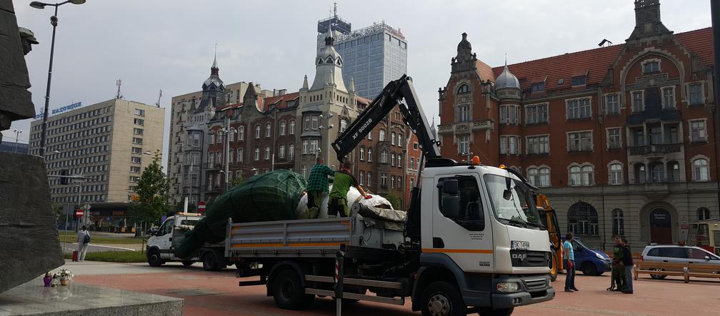 Palmy wróciły na rynek w Katowicach