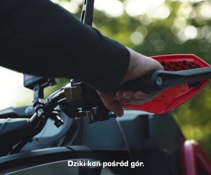 Roberto Soldić pokazał swojego potwora