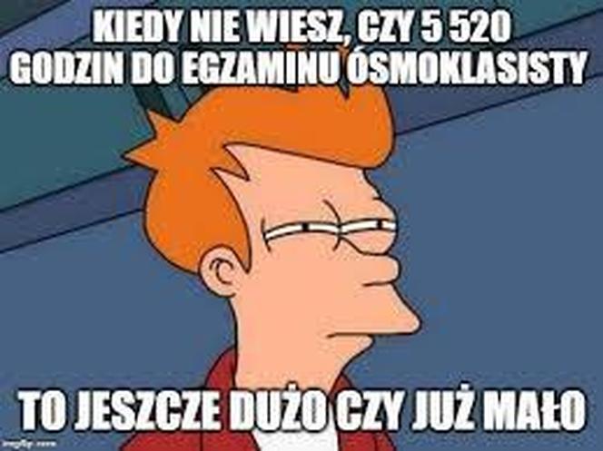 Egzamin ósmoklasisty 2024 memy! Padniesz ze śmiechu, gdy to zobaczysz [GALERIA]