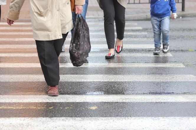   Aktywne przejścia zwiększą bezpieczeństwo pieszych w Braniewie. Wiemy ile ich jest!