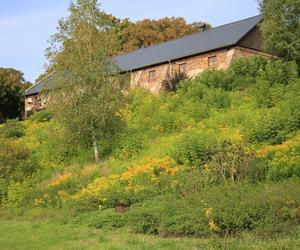 Lubelski skansen zachwyca na początku jesieni!