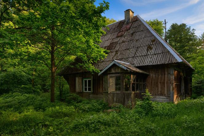 KAMPINOSKI PARK NARODOWY