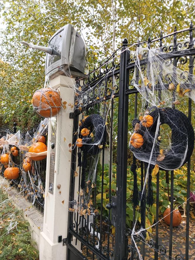 Willa na Jaśkowej Dolinie znów ozdobiona. Tym razem przechodniów zaskakują halloweenowe straszydła!