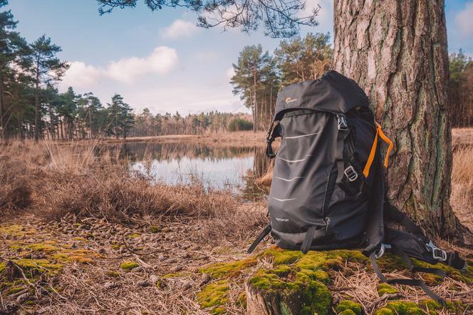 Mazury: Słony mandat za wakacje. Ta atrakcja sporo ich kosztowała [FOTO]