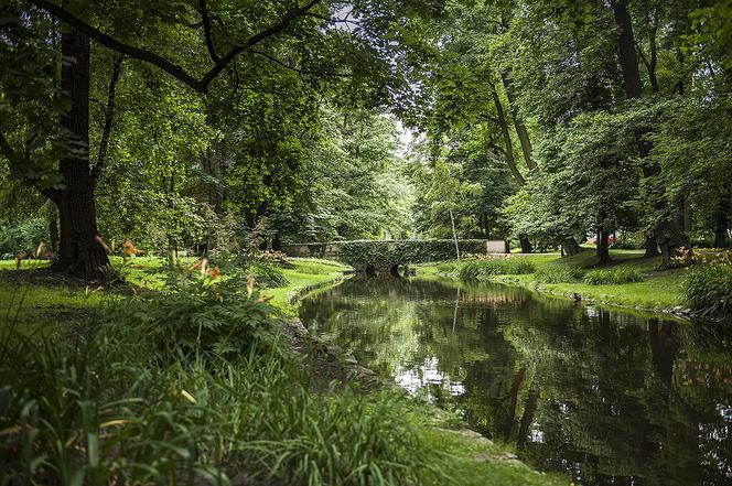 6. Park Miejski