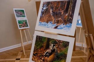 Wystawa fotografii przyrodniczej w Koźminku