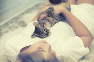 Czy spać z kotem w łóżku? Czy spanie z kotem jest zdrowe?