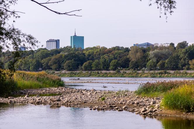 Wisła wysycha - rekordowo nisko poziom wody. Zobacz zdjęcia