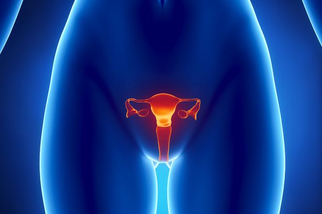 Profilaktyczne usunięcie jajników może uchronić także przed rakiem piersi