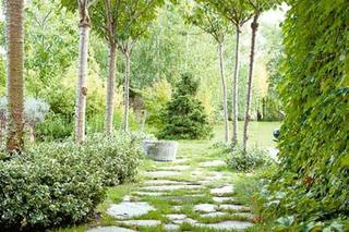 Fragment ogrodu starego domu na wsi