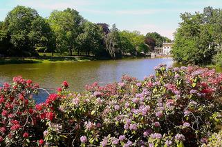 Szukasz plenerów do fotografii? Sprawdź, gdzie robić zdjęcia w Warszawie! [GALERIA]