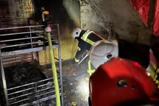 Piętnastu wychowanków Domu Dziecka uciekało przed płomieniami. Ogień zniszczył połowę budynku