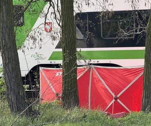 Tragedia w Ząbkach. Nie żyje pieszy. Wtargnął na tory w niedozwolonym miejscu