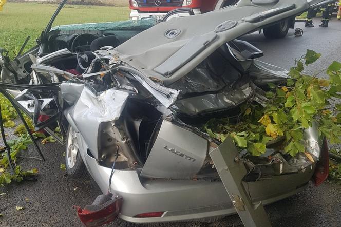 Nowy Nart: Drzewo spadło na samochód, zginął kierowca