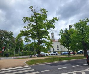 Aleja Dębowa w Bydgoszczy, czyli żywa historia wśród zieleni