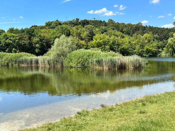 Zwłoki park Szczęśliwicki