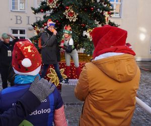 Bieg Mikołajów w Olsztynie. Około 400 osób pobiegło w charytatywnym celu [ZDJĘCIA]