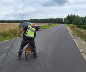 Tajemnicze zaginięcie 30-letniej Jowity. Kobieta wracała z pracy i zniknęła na leśnej drodze