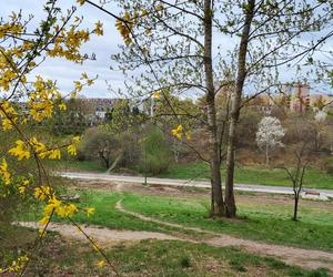 To miejsce kochają mieszkańcy Lublina! Już niedługo zakończą się prace w Parku Rury