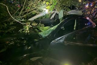 Dramat pod Siedlcami. Najpierw zderzył się z łosiem, później huknął w naczepę ciężarówki 