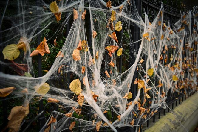 Gdańsk: Dom jak z horroru. Udekorowali budynek na helloween [ZDJĘCIA]