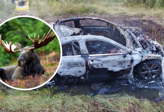 Do takiej sytuacji doszło na trasie Lipno – Kamień Kotowy