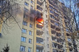 Poszli z dziećmi na spacer, SĄSIAD SPALIŁ im mieszkanie! Krakowianie zrzucili się na remont