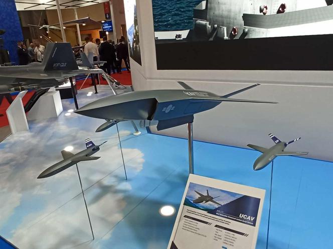 Bojowy bezzałogowy statek powietrzny (Unmanned Combat Aerial Vehicle, UCAV)