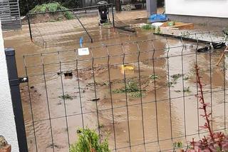 Nawałnica w gminie Lisia Góra łamała drzewa jak zapałki. Potężne zniszczenia 