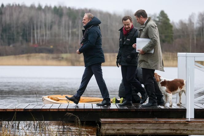 Premier Tusk w Szwecji