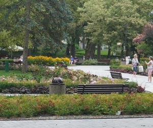 Park Zdrojowy w Busku