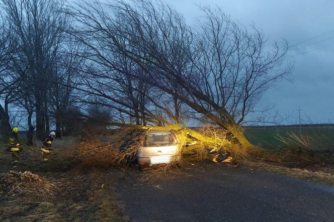Leszczyńscy strażacy podsumowują wichury w regionie