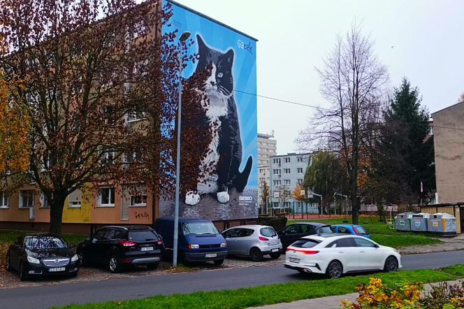 Mural z kotem Gackiem już odsłonięty
