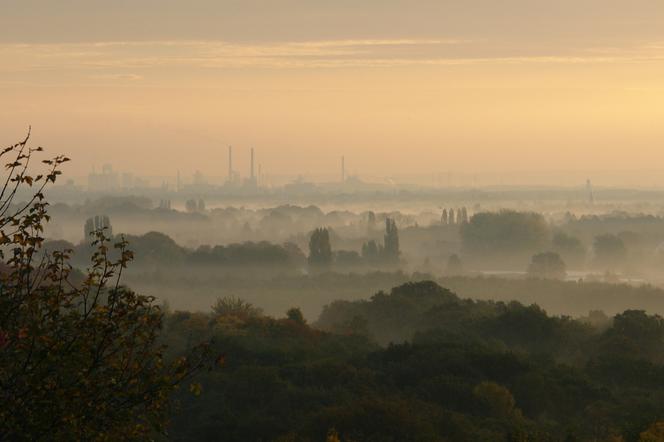 Zanieczyszczone powietrze