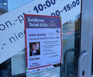 Dzień Kota w Schronisku dla Bezdomnych Zwierząt w Lublinie