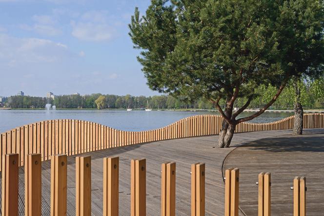 Nad jeziorem Paprocany