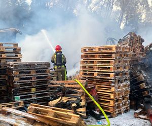 Łódź. Ogromny pożar ciężarówek i składowiska palet. Dramat na ul. Starorudzkiej [ZDJĘCIA].