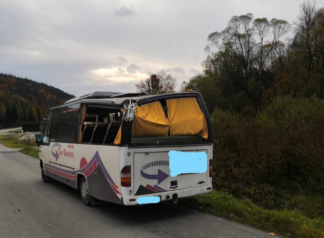 Leszczawa Dolna: na busa spadł konar drzewa! Wiatr powalił część 500-letniego dębu