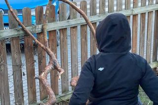 Muzeum Patyka w Toruniu