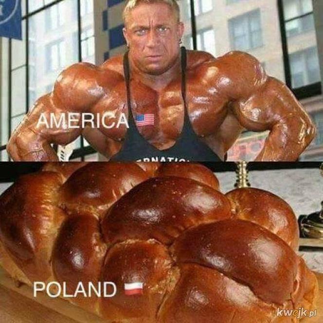 Tak się śmieją z Polski i Polaków! TOP 40 najśmieszniejszych memów