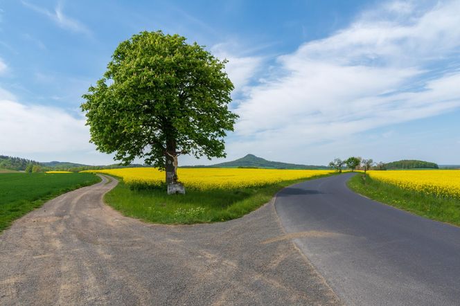 Ostrzyca Proboszczowicka, nazywana Śląską Fujiyamą